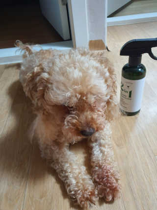 Sun님이 올린 리뷰 사진 3