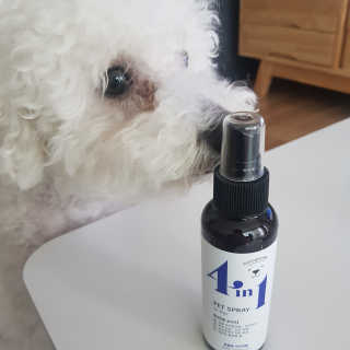 강아지스토리 포인원 모이스처 미스트 100ml — 5점을 준 리뷰어가 2020년 6월 올린 사용 사진