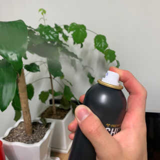 다슈코리아 다슈 포 맨 프리미엄 밤부 핀 스프레이 300ml — 5점을 준 리뷰어가 2020년 7월 올린 사용 사진