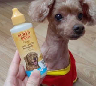 쑤기님이 올린 리뷰 사진 1