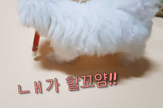 더펫원츠 [5초양치] 멍.치카펜 or 냥.치카펜 or 치카오일펜 — 5점을 준 리뷰어가 2020년 5월 올린 사용 사진