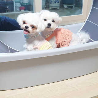꽃양뿌니님이 올린 리뷰 사진 1