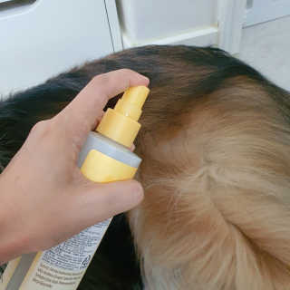 버츠비 이치수딩 스프레이 — 5점을 준 리뷰어가 2020년 10월 올린 사용 사진