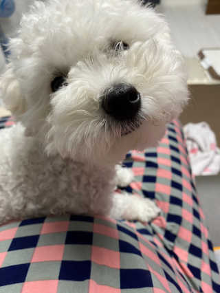 SunkyungKim님이 올린 리뷰 사진 4