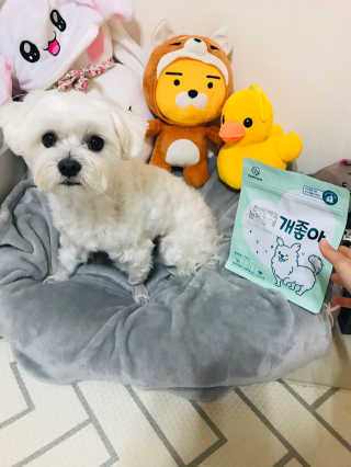 My Pet Care 천연단백질 눈건강에 개좋아 — 5점을 준 리뷰어가 2020년 11월 올린 사용 사진