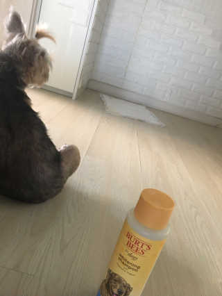 아라아빠님이 올린 리뷰 사진 4
