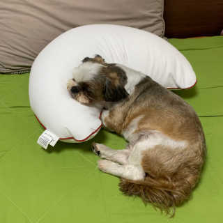 persona님이 올린 리뷰 사진 2