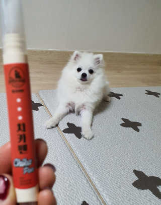 ssosso_yab님이 올린 리뷰 사진 3