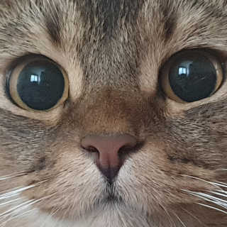 서현님이 올린 리뷰 사진 1