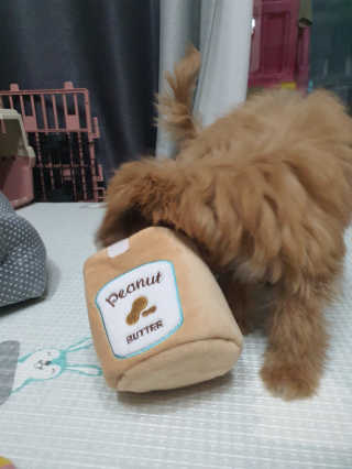 BINSMOM님이 올린 리뷰 사진 4