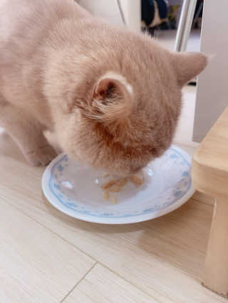 SolheeNamgoong님이 올린 리뷰 사진 2