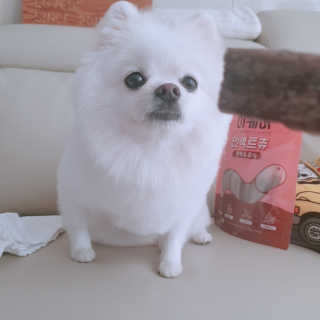 꺼네오기님이 올린 리뷰 사진 2