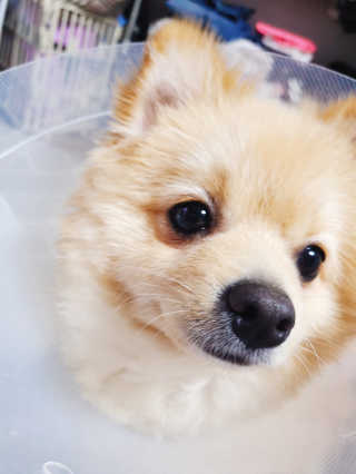 으콩님이 올린 리뷰 사진 4