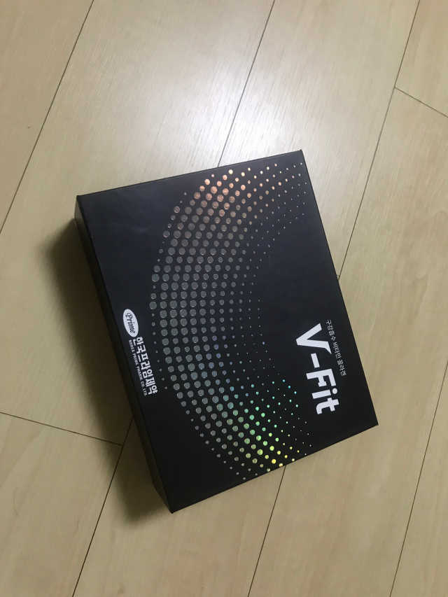 브이핏 리뷰 사진