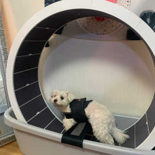 bominnnn님이 올린 리뷰 사진 4