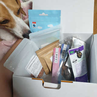 beaglelove님이 올린 리뷰 사진 1