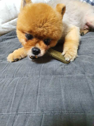 성유진님이 올린 리뷰 사진 4