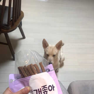 My Pet Care 천연단백질 치아건강에 개좋아 — 5점을 준 리뷰어가 2020년 12월 올린 사용 사진