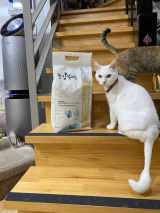 H님이 올린 리뷰 사진 3