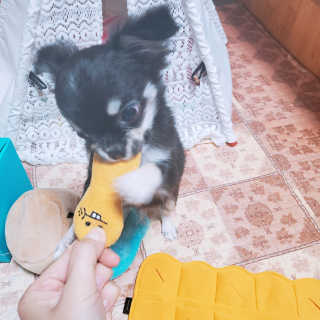 장성희님이 올린 리뷰 사진 3