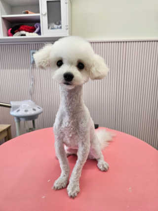 윤한솔님이 올린 리뷰 사진 2