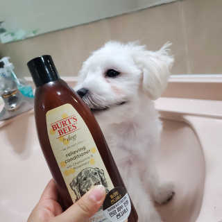 율마미님이 올린 리뷰 사진 3