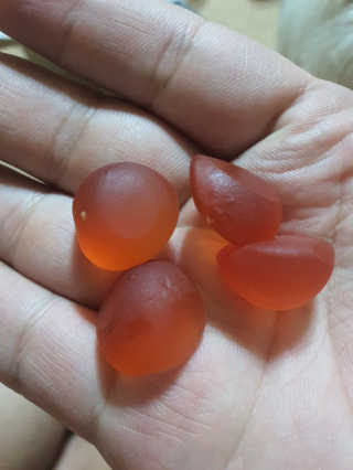공팔리터님이 올린 리뷰 사진 1