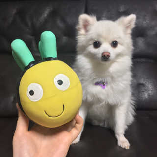 0ee님이 올린 리뷰 사진 1