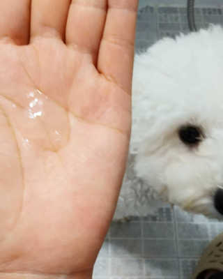 lovelyb님이 올린 리뷰 사진 3