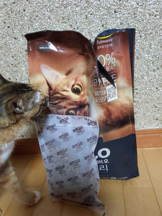 gajete님이 올린 리뷰 사진 3