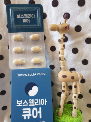 소원덕규웅맘콩님이 올린 리뷰 사진 3