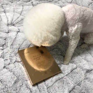 ariel님이 올린 리뷰 사진 2