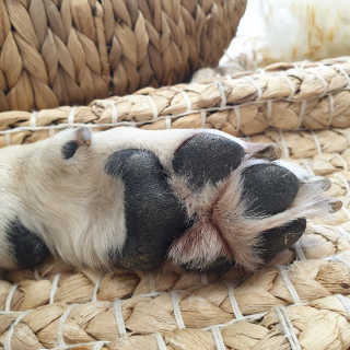 리아님이 올린 리뷰 사진 3