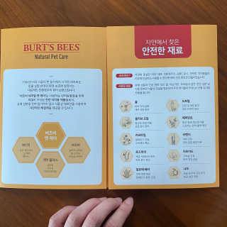 버츠비 퍼피투인원 티어리스 샴푸 앤 컨디셔너 — 5점을 준 리뷰어가 2020년 11월 올린 사용 사진