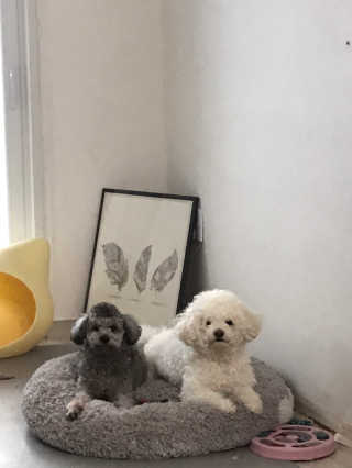 갱스님이 올린 리뷰 사진 3