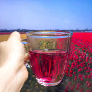 metoca님이 올린 리뷰 사진 3