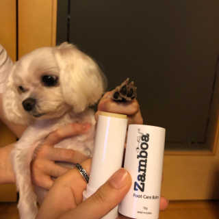 빼곰님이 올린 리뷰 사진 3