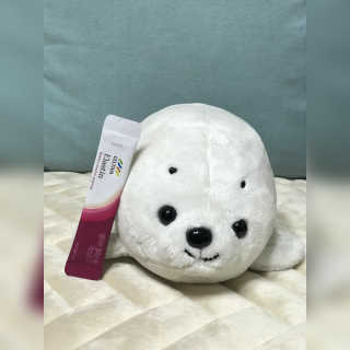 물끼님이 올린 리뷰 사진 2