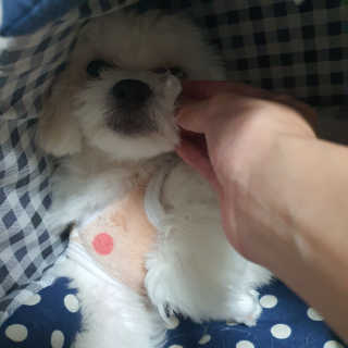 샤넬젤라님이 올린 리뷰 사진 3