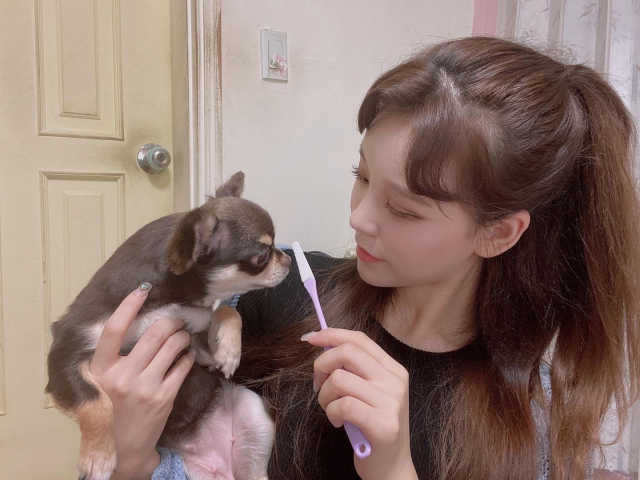 K-BRUSH 리뷰 사진