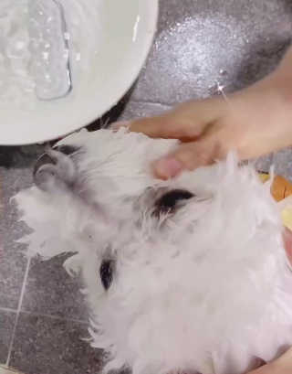 SEOHYUNKIM님이 올린 리뷰 사진 3
