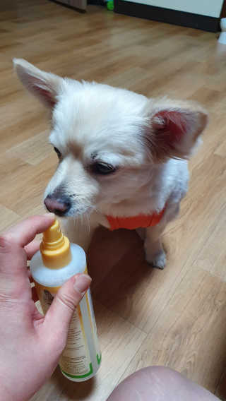 임예슬님이 올린 리뷰 사진 3