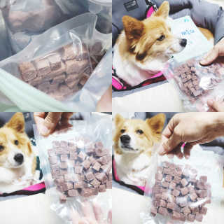 My Pet Care 천연단백질 눈건강에 개좋아 — 5점을 준 리뷰어가 2020년 12월 올린 사용 사진