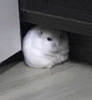 서현님이 올린 리뷰 사진 2