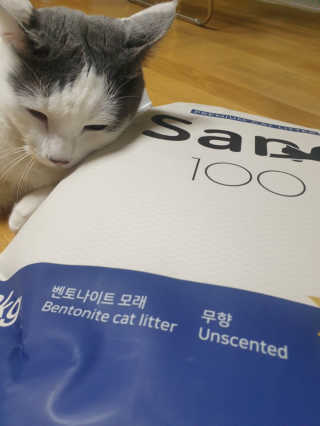 [샌드백] 프리미엄 벤토나이트 고양이모래 — 5점을 준 리뷰어가 2020년 11월 올린 사용 사진