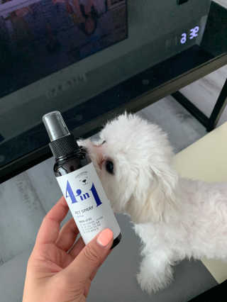 큐티윤님이 올린 리뷰 사진 2