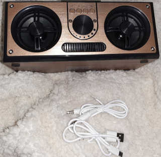 SEVIZ RETRO20W 레트로 블루투스 스피커 — 5점을 준 리뷰어가 2020년 8월 올린 사용 사진