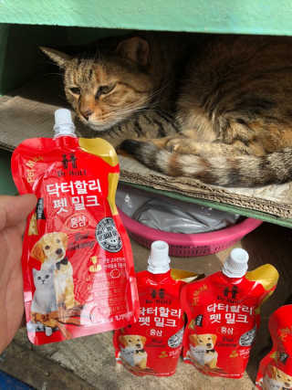 유영경님이 올린 리뷰 사진 1