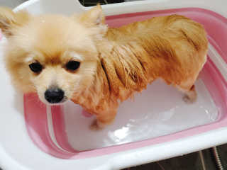 으콩님이 올린 리뷰 사진 2