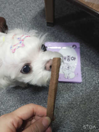 My Pet Care 천연단백질 치아건강에 개좋아 — 5점을 준 리뷰어가 2020년 11월 올린 사용 사진